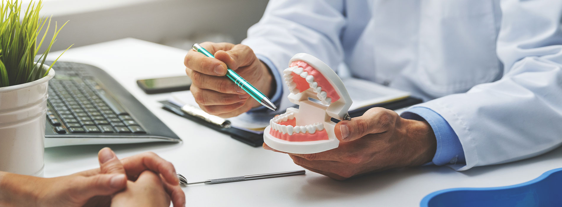The image shows a dental professional holding an open model mouth with removable teeth, examining it while seated at a desk with a laptop and various office items.