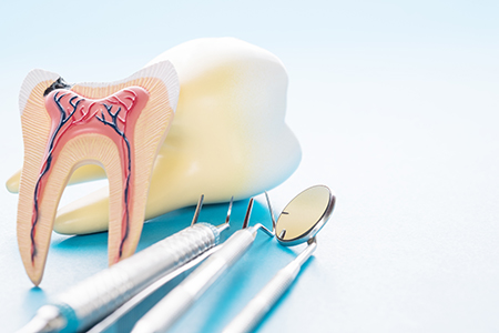 Joseph A. Magotch, DDS